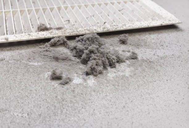 Best Duct Cleaning for Offices  in Belen, NM