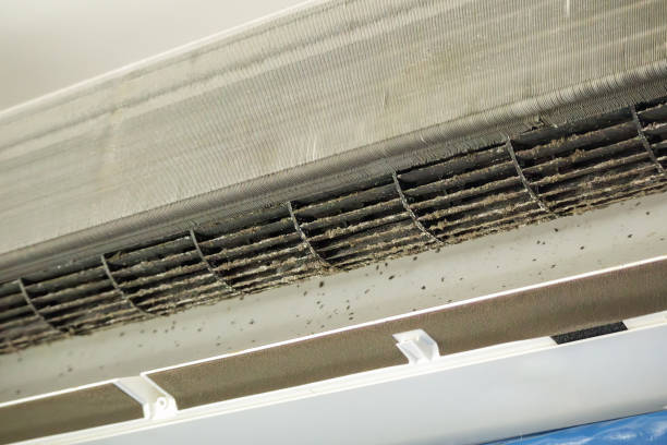 Best Affordable HVAC Duct Cleaning  in Belen, NM